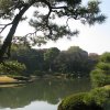 Tokyo_Rikugien_Park_4